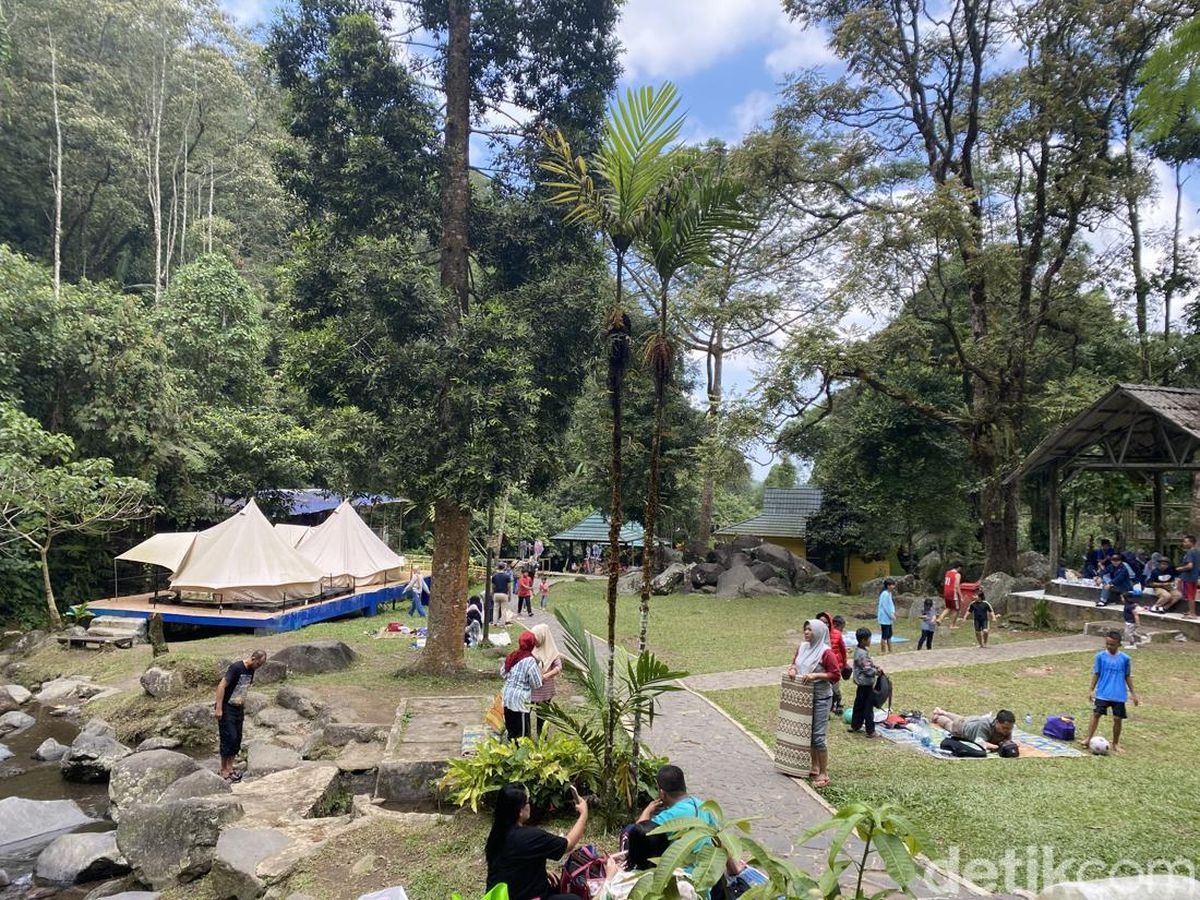 Suasana Pondok Halimun