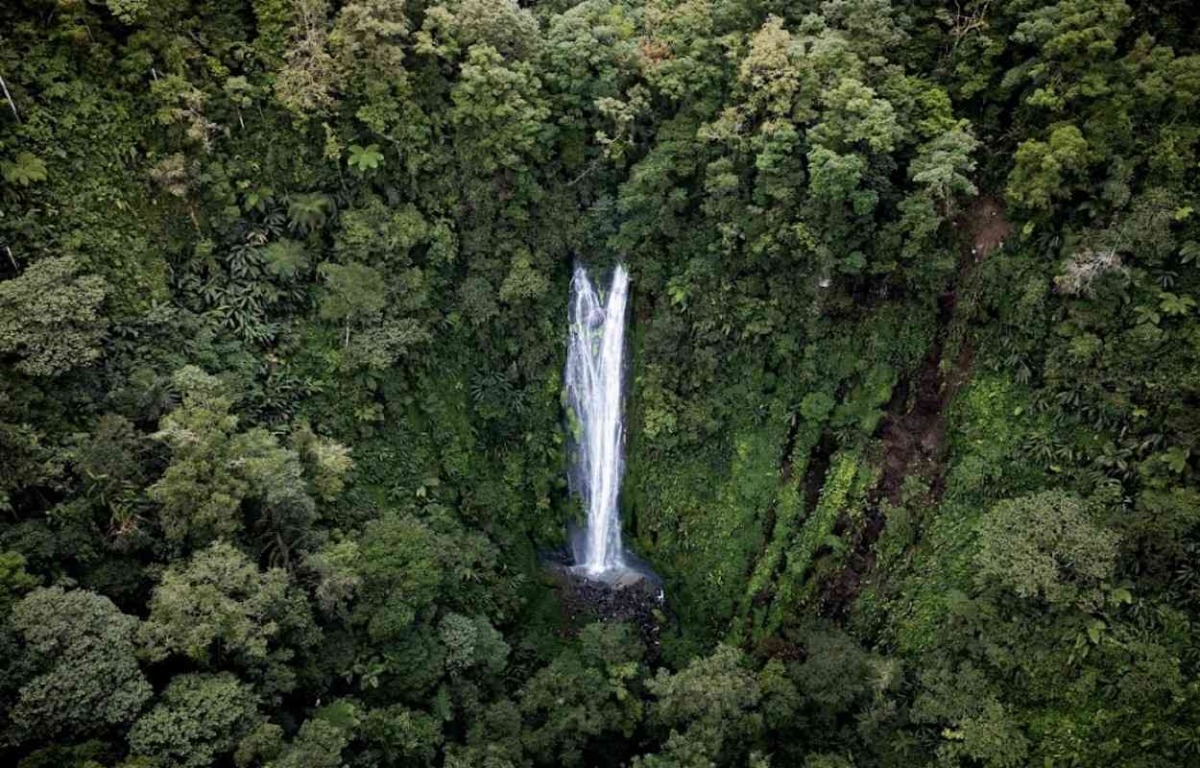 Curug di Pondok Halimun